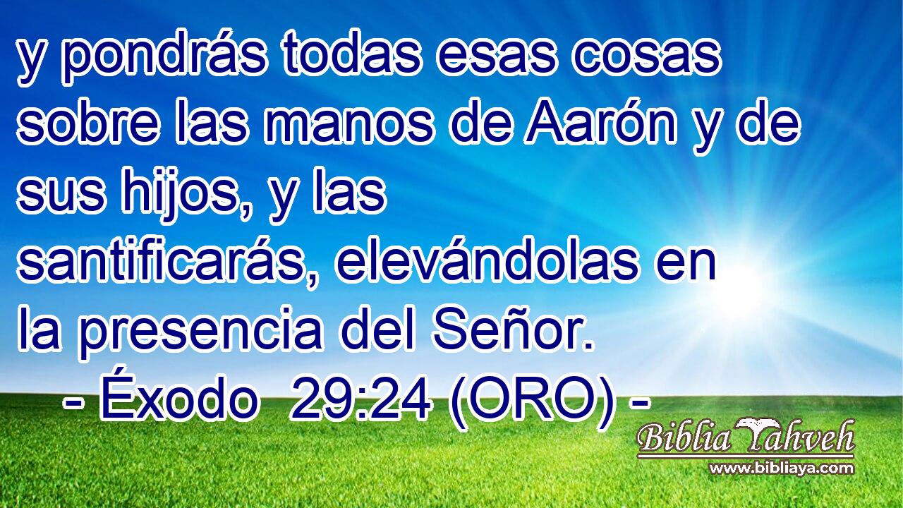  y pondrás todas esas cosas sobre las manos de Aarón y de sus hijos, y las santificarás, elevándolas en la presencia del Señor. 