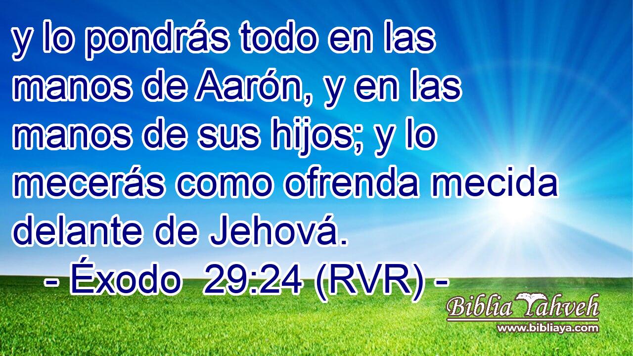 y lo pondrás todo en las manos de Aarón, y en las manos de sus hijos; y lo mecerás como ofrenda mecida delante de Jehová.