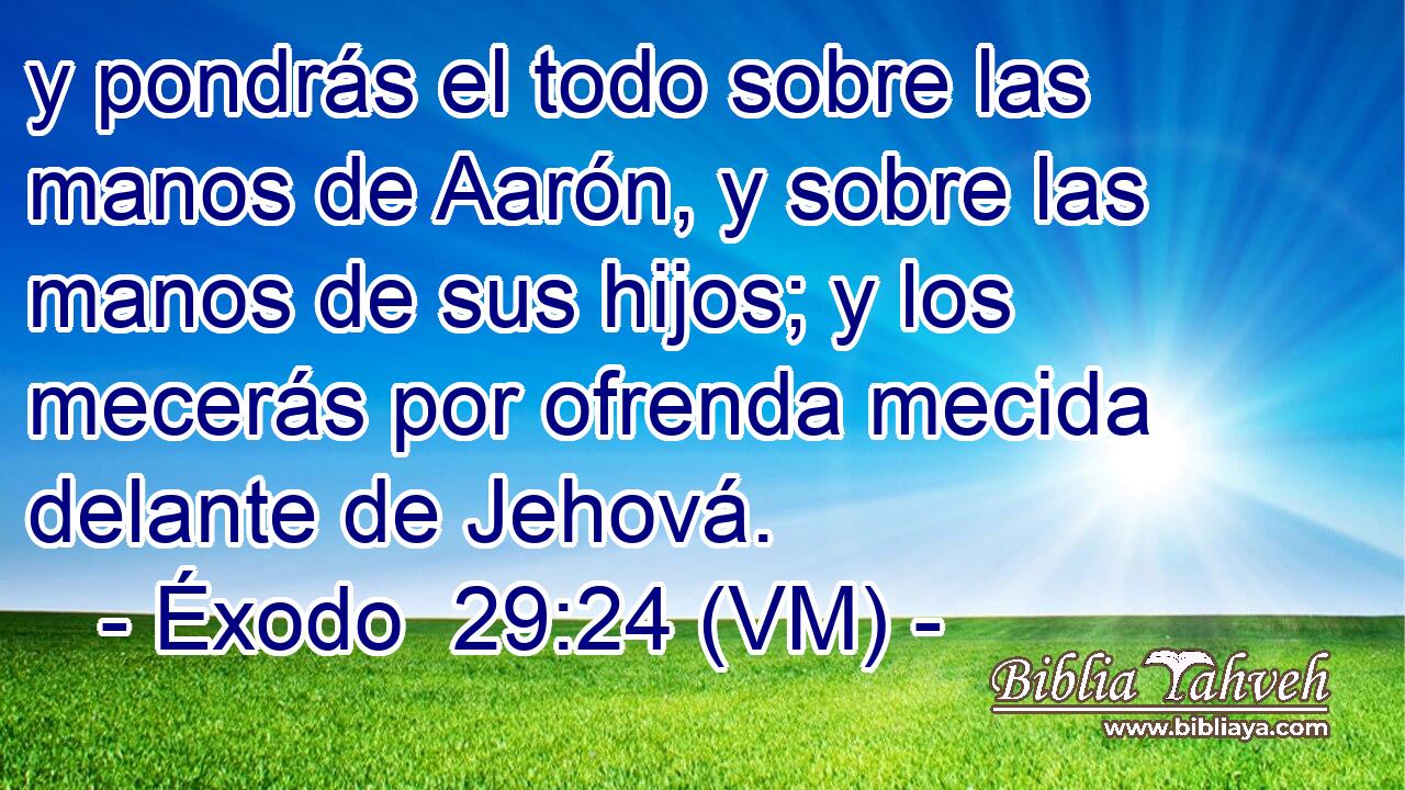  y pondrás el todo sobre las manos de Aarón, y sobre las manos de sus hijos; y los mecerás por ofrenda mecida delante de Jehová. 