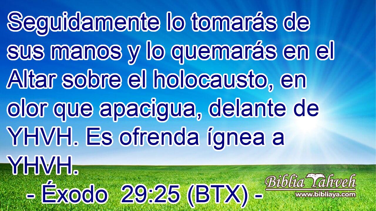 Seguidamente lo tomarás de sus manos y lo quemarás en el Altar sobre el holocausto, en olor que apacigua, delante de YHVH. Es ofrenda ígnea a YHVH.