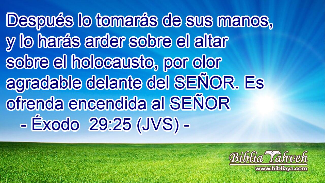 Después lo tomarás de sus manos, y lo harás arder sobre el altar sobre el holocausto, por olor agradable delante del SEÑOR. Es ofrenda encendida al SEÑOR