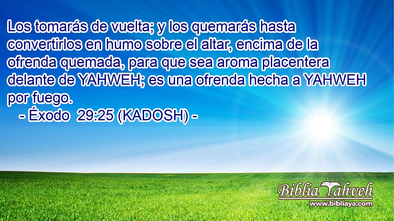  Los tomarás de vuelta; y los quemarás hasta convertirlos en humo sobre el altar, encima de la ofrenda quemada, para que sea aroma placentera delante de YAHWEH; es una ofrenda hecha a YAHWEH por fuego. 