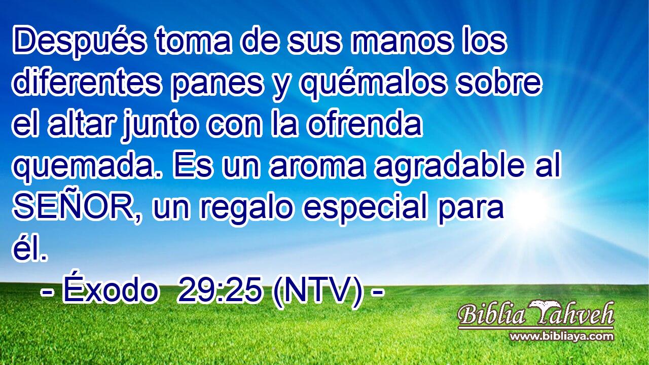 Después toma de sus manos los diferentes panes y quémalos sobre el altar junto con la ofrenda quemada. Es un aroma agradable al SEÑOR, un regalo especial para él.