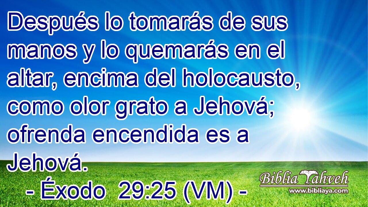  Después lo tomarás de sus manos y lo quemarás en el altar, encima del holocausto, como olor grato a Jehová; ofrenda encendida es a Jehová. 