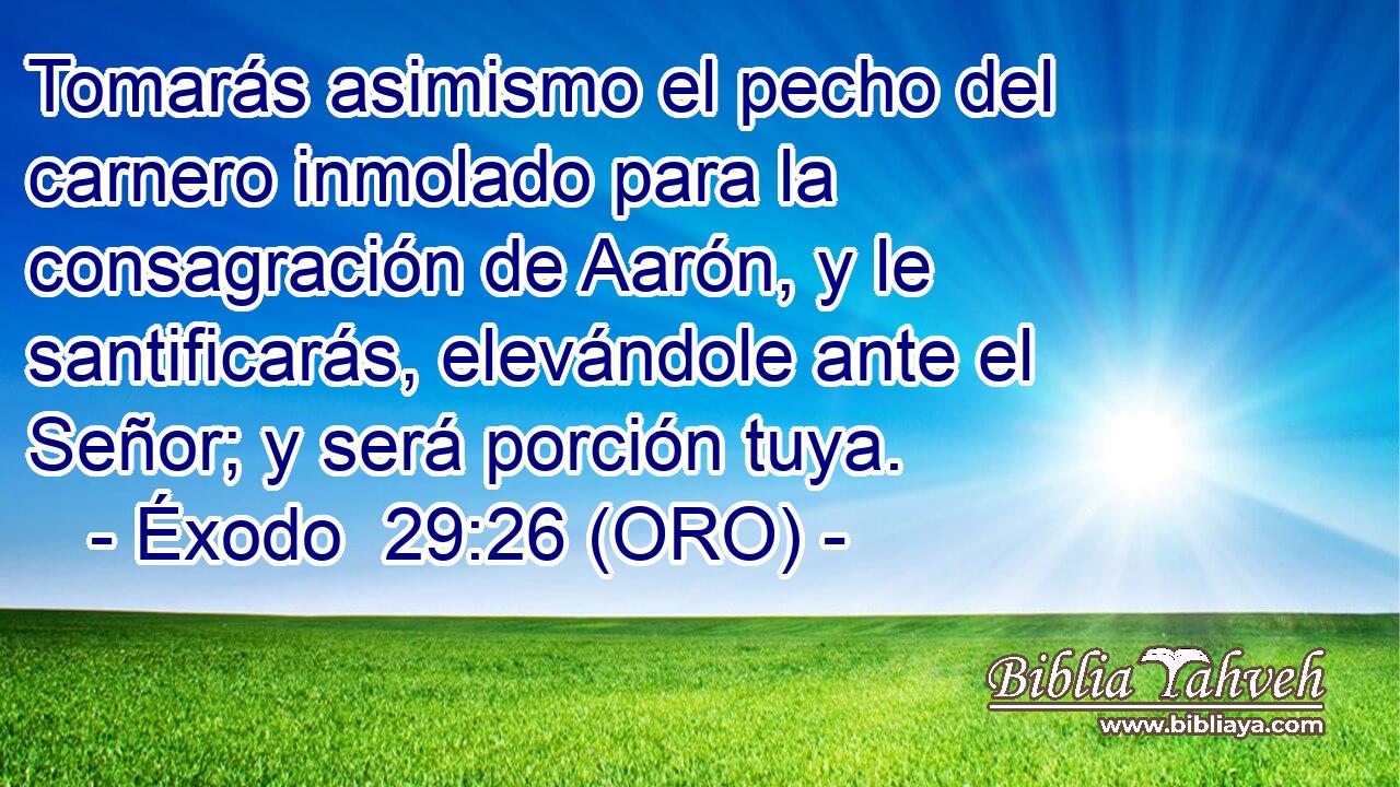  Tomarás asimismo el pecho del carnero inmolado para la consagración de Aarón, y le santificarás, elevándole ante el Señor; y será porción tuya. 