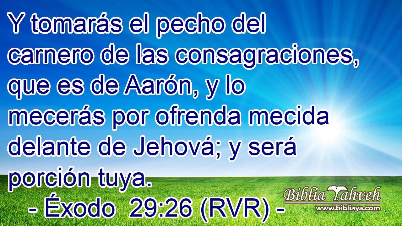 Y tomarás el pecho del carnero de las consagraciones, que es de Aarón, y lo mecerás por ofrenda mecida delante de Jehová; y será porción tuya.