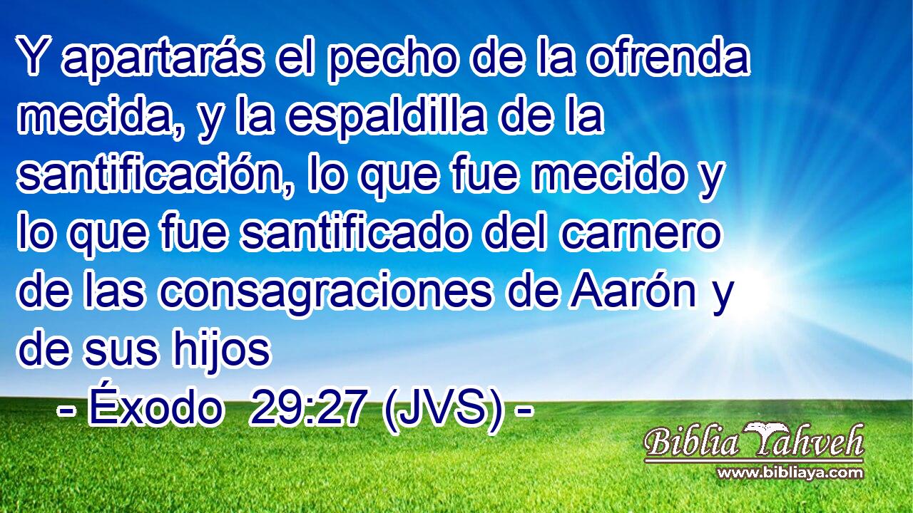 Y apartarás el pecho de la ofrenda mecida, y la espaldilla de la santificación, lo que fue mecido y lo que fue santificado del carnero de las consagraciones de Aarón y de sus hijos