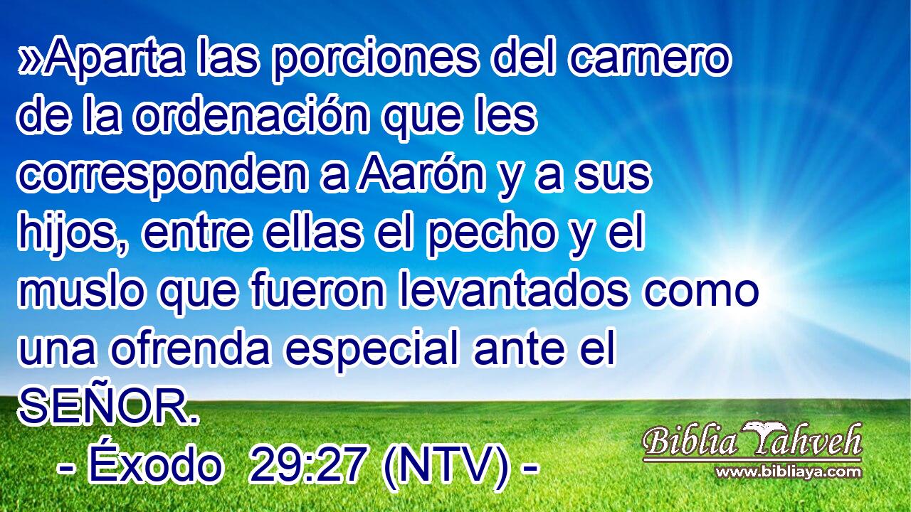 »Aparta las porciones del carnero de la ordenación que les corresponden a Aarón y a sus hijos, entre ellas el pecho y el muslo que fueron levantados como una ofrenda especial ante el SEÑOR.