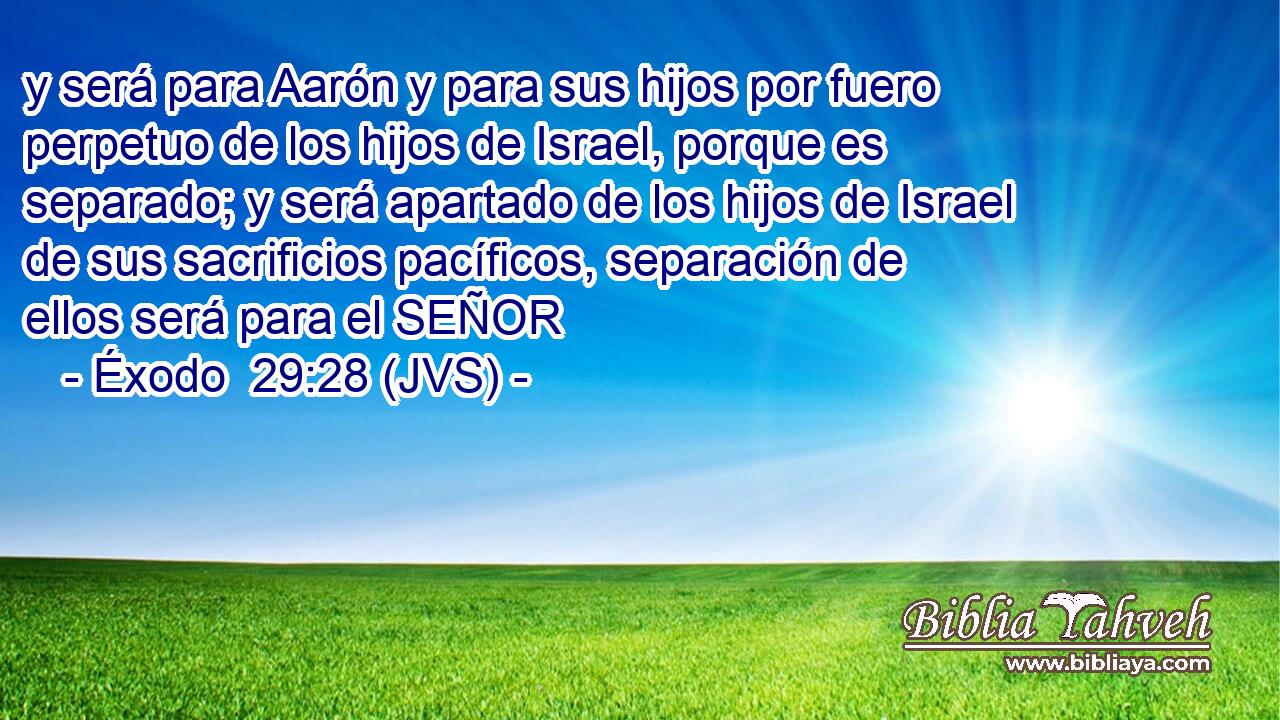 y será para Aarón y para sus hijos por fuero perpetuo de los hijos de Israel, porque es separado; y será apartado de los hijos de Israel de sus sacrificios pacíficos, separación de ellos será para el SEÑOR