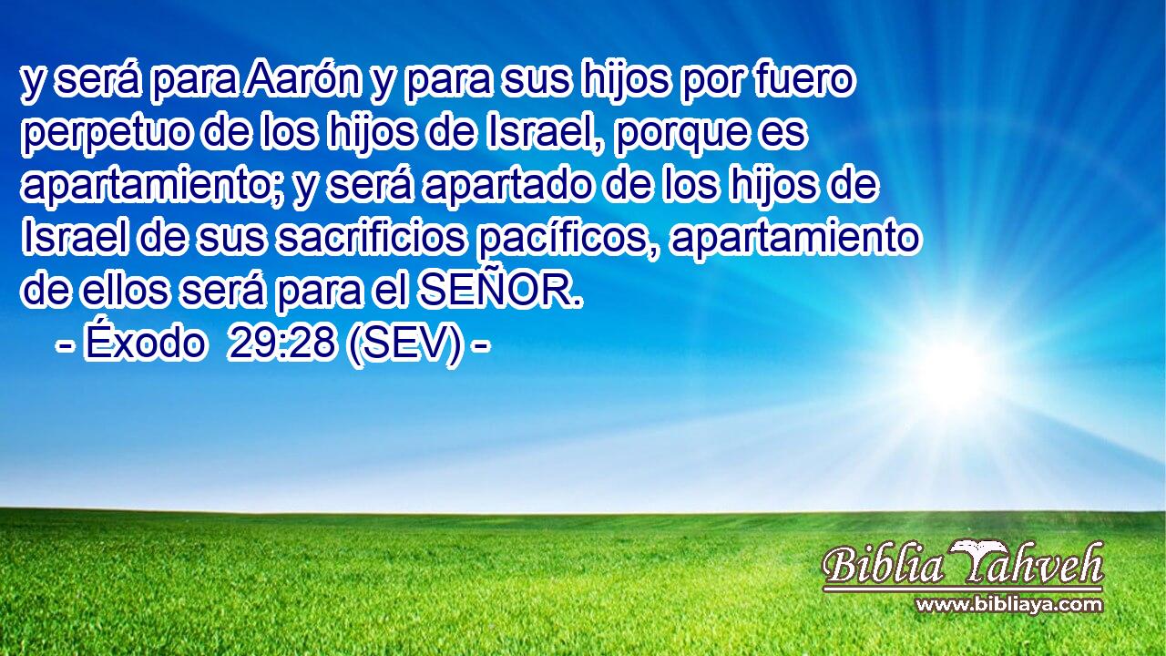y será para Aarón y para sus hijos por fuero perpetuo de los hijos de Israel, porque es apartamiento; y será apartado de los hijos de Israel de sus sacrificios pacíficos, apartamiento de ellos será para el SEÑOR.