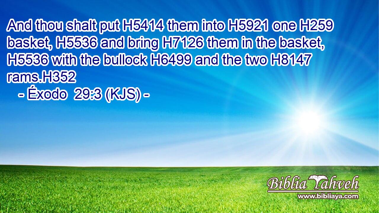 And thou shalt put H5414 them into H5921 one H259 basket, H5536 and bring H7126 them in the basket, H5536 with the bullock H6499 and the two H8147 rams.H352