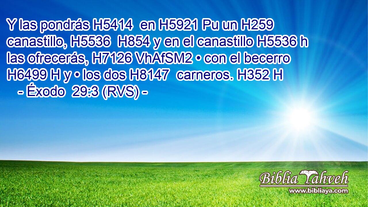 Y las pondrás H5414  en H5921 Pu un H259  canastillo, H5536  H854 y en el canastillo H5536 h las ofrecerás, H7126 VhAfSM2 • con el becerro H6499 H y • los dos H8147  carneros. H352 H 