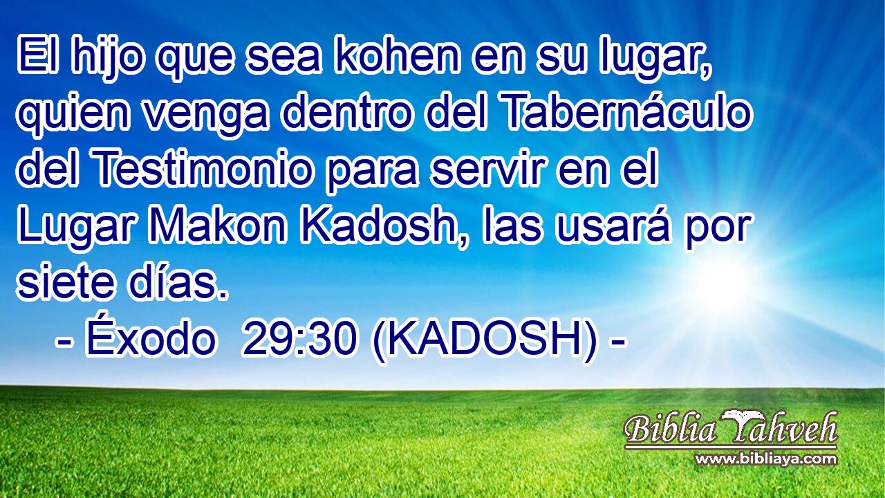  El hijo que sea kohen en su lugar, quien venga dentro del Tabernáculo del Testimonio para servir en el Lugar Makon Kadosh, las usará por siete días. 