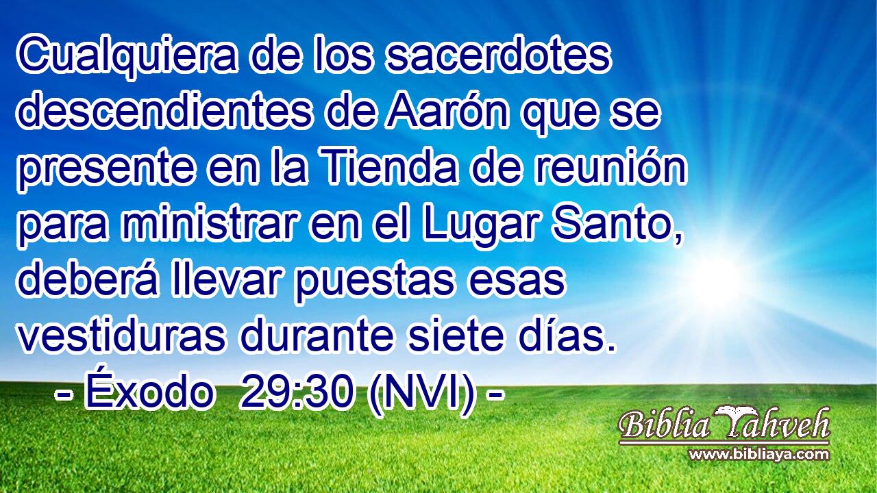  Cualquiera de los sacerdotes descendientes de Aarón que se presente en la Tienda de reunión para ministrar en el Lugar Santo, deberá llevar puestas esas vestiduras durante siete días. 