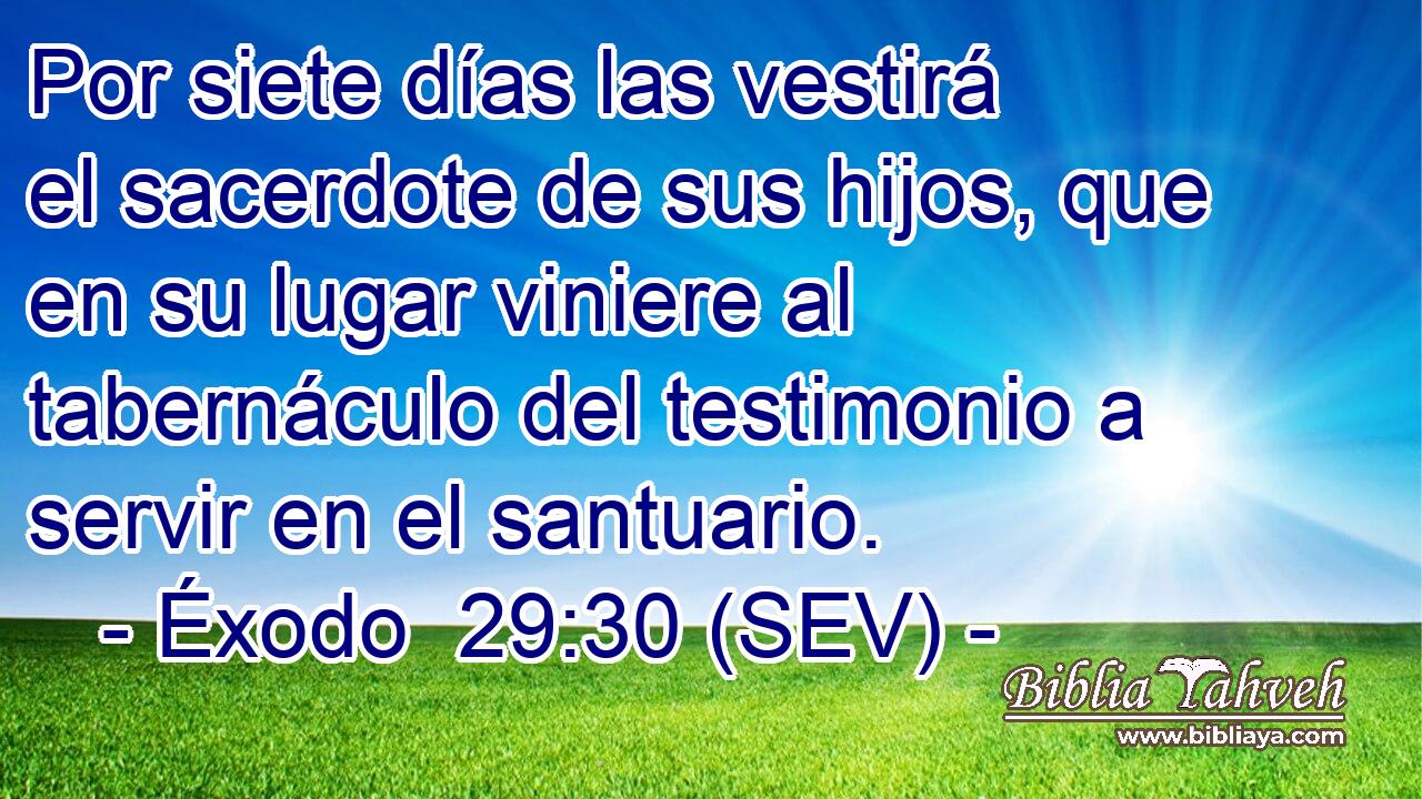 Por siete días las vestirá el sacerdote de sus hijos, que en su lugar viniere al tabernáculo del testimonio a servir en el santuario.