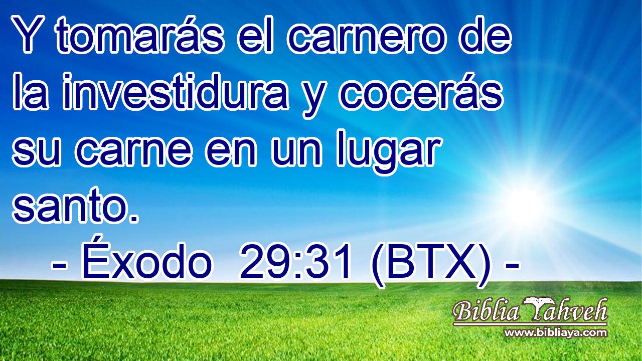 Y tomarás el carnero de la investidura y cocerás su carne en un lugar santo.