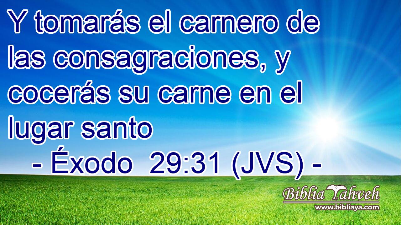 Y tomarás el carnero de las consagraciones, y cocerás su carne en el lugar santo