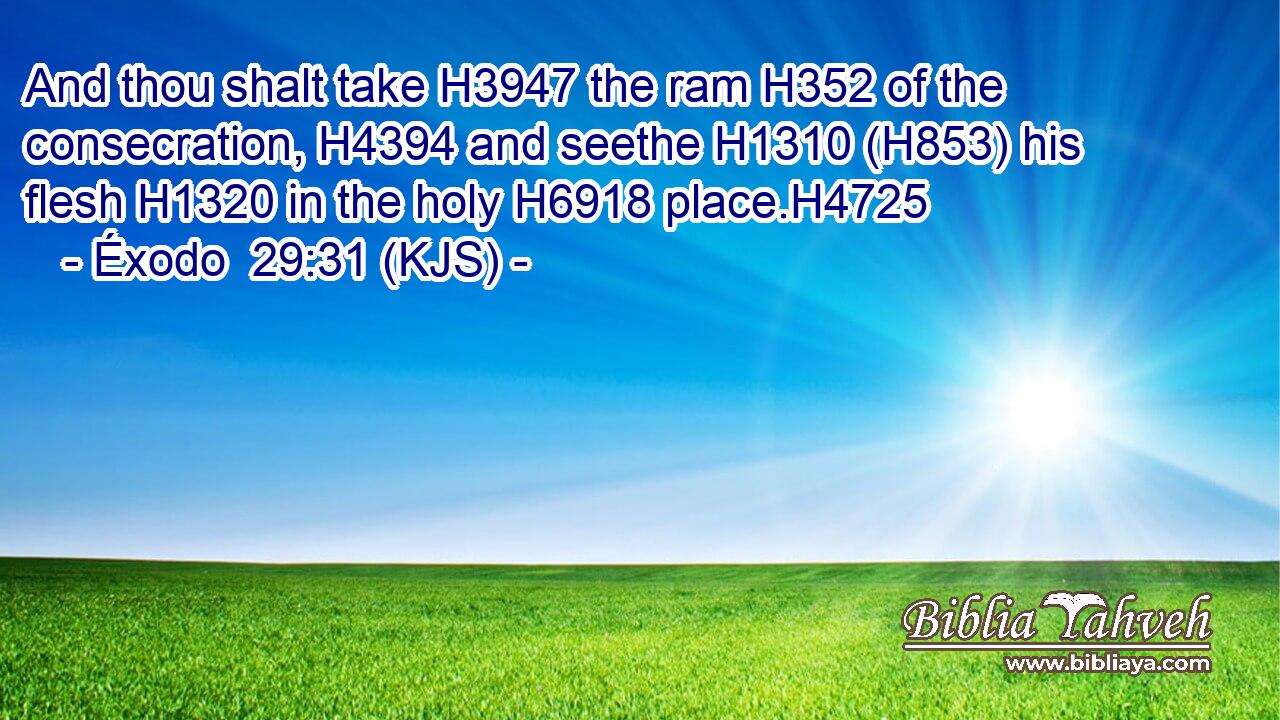 And thou shalt take H3947 the ram H352 of the consecration, H4394 and seethe H1310 (H853) his flesh H1320 in the holy H6918 place.H4725