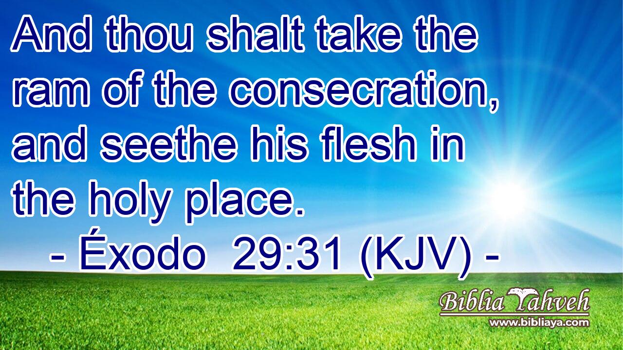 And thou shalt take the ram of the consecration, and seethe his flesh in the holy place.