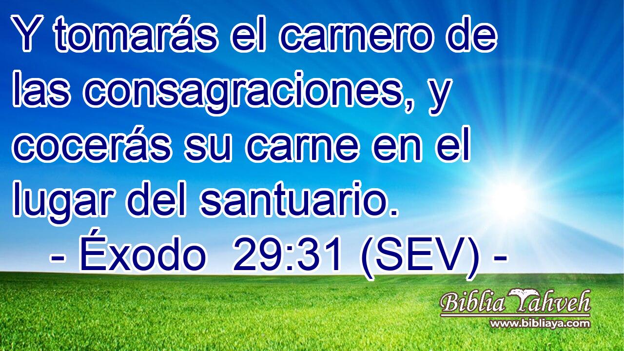 Y tomarás el carnero de las consagraciones, y cocerás su carne en el lugar del santuario.