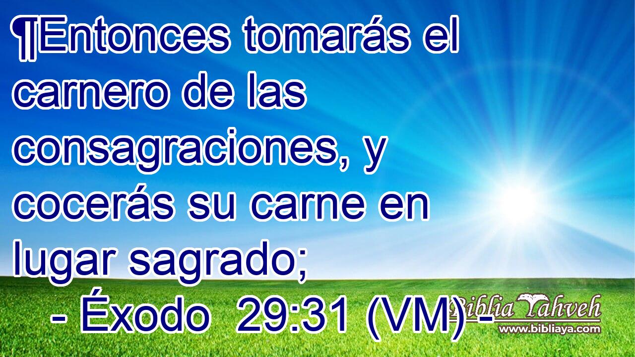  ¶Entonces tomarás el carnero de las consagraciones, y cocerás su carne en lugar sagrado; 