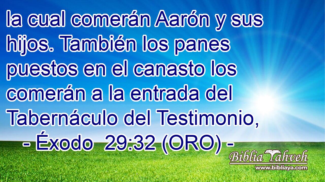  la cual comerán Aarón y sus hijos. También los panes puestos en el canasto los comerán a la entrada del Tabernáculo del Testimonio, 