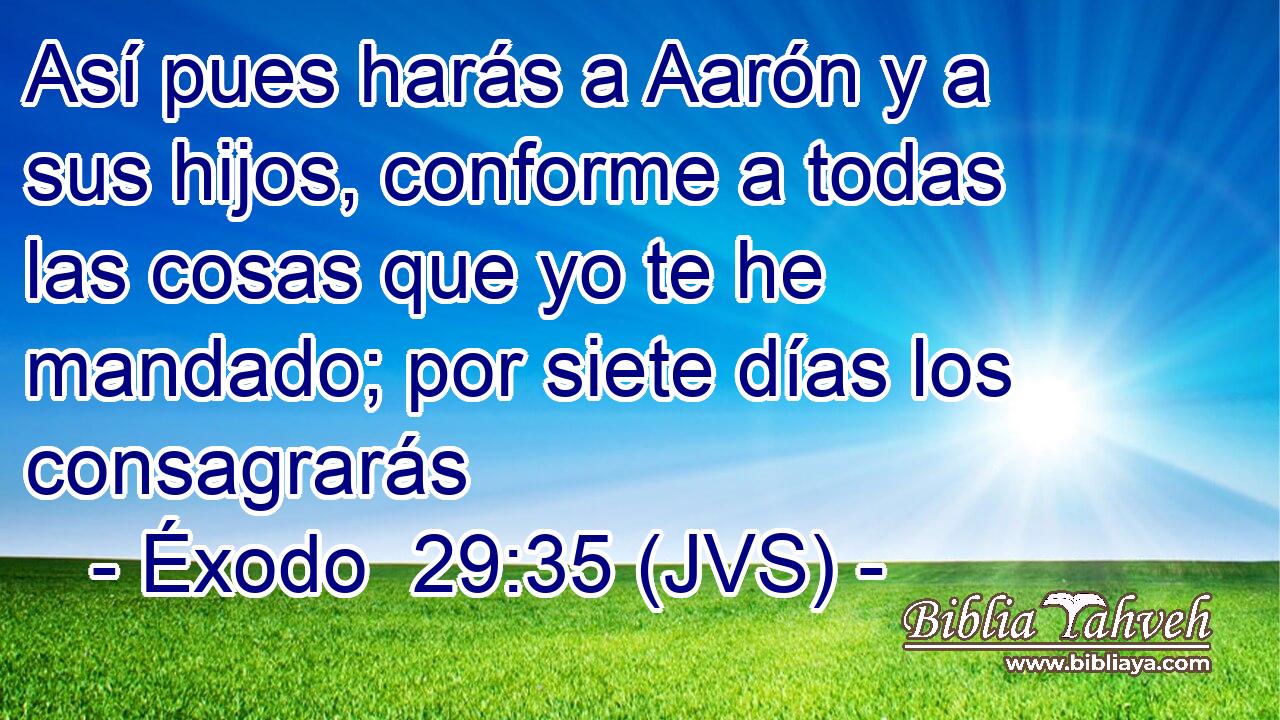 Así pues harás a Aarón y a sus hijos, conforme a todas las cosas que yo te he mandado; por siete días los consagrarás