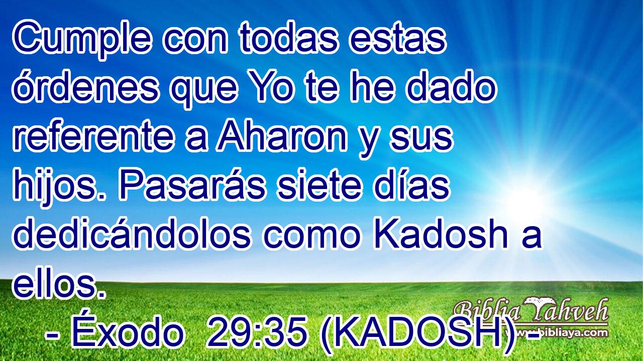  Cumple con todas estas órdenes que Yo te he dado referente a Aharon y sus hijos. Pasarás siete días dedicándolos como Kadosh a ellos. 