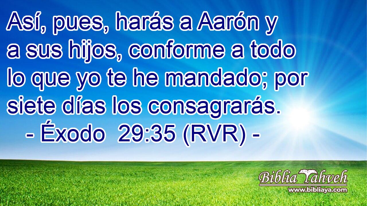 Así, pues, harás a Aarón y a sus hijos, conforme a todo lo que yo te he mandado; por siete días los consagrarás.