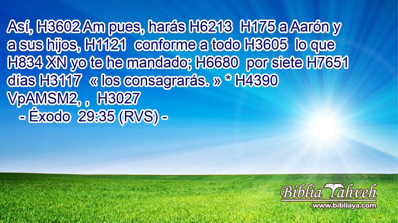 Así, H3602 Am pues, harás H6213  H175 a Aarón y a sus hijos, H1121  conforme a todo H3605  lo que H834 XN yo te he mandado; H6680  por siete H7651  días H3117  « los consagrarás. » * H4390 VpAMSM2, ,  H3027 