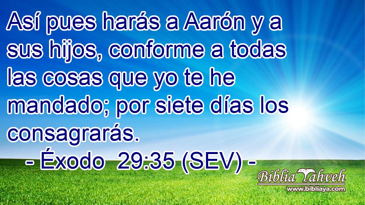Así pues harás a Aarón y a sus hijos, conforme a todas las cosas que yo te he mandado; por siete días los consagrarás.