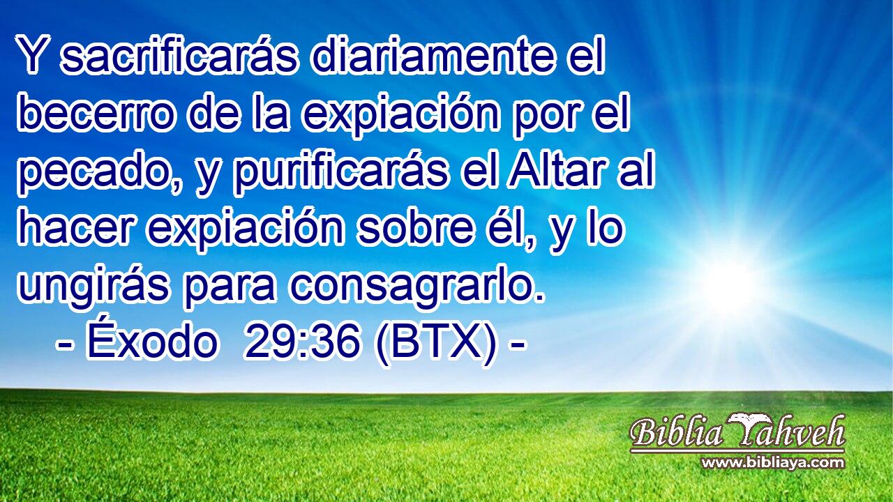 Y sacrificarás diariamente el becerro de la expiación por el pecado, y purificarás el Altar al hacer expiación sobre él, y lo ungirás para consagrarlo.