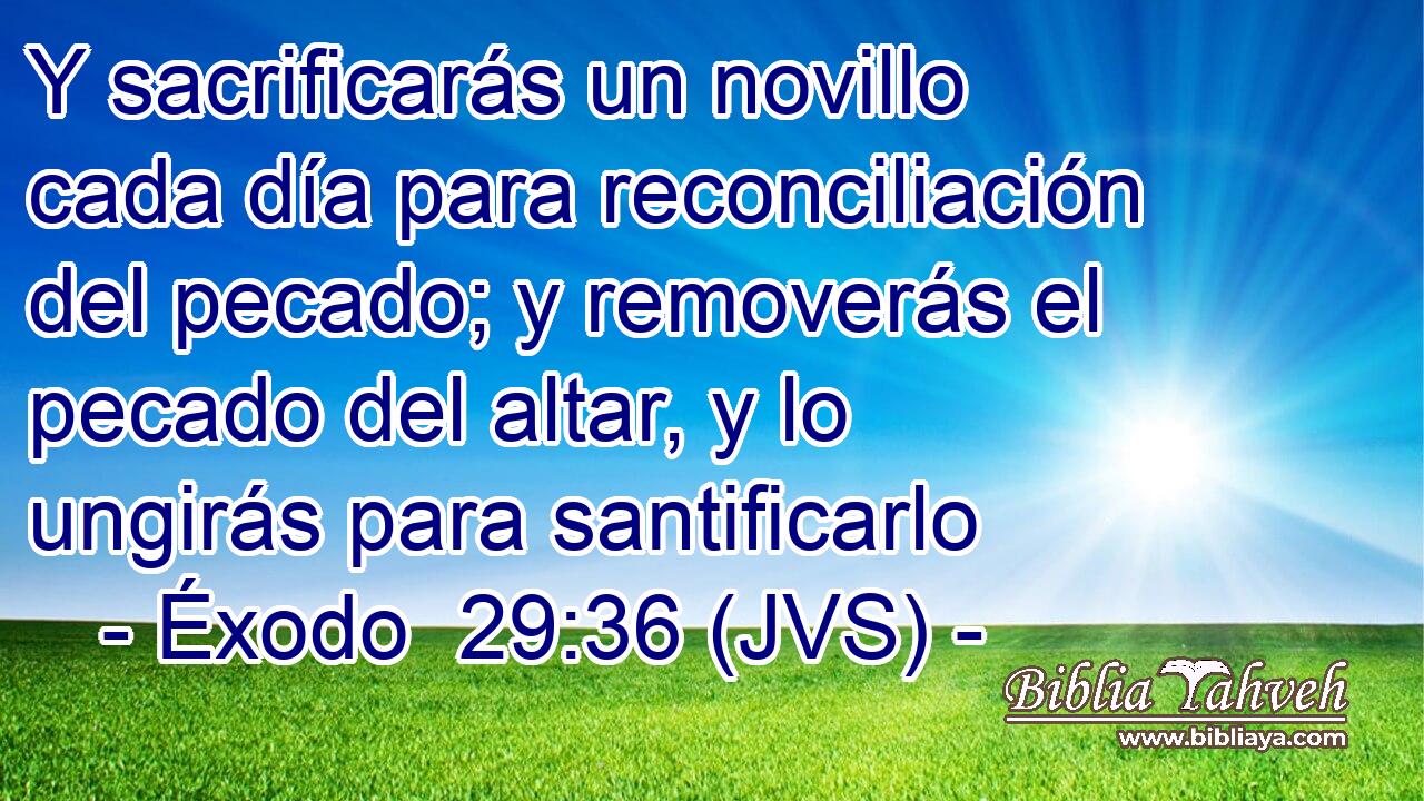 Y sacrificarás un novillo cada día para reconciliación del pecado; y removerás el pecado del altar, y lo ungirás para santificarlo