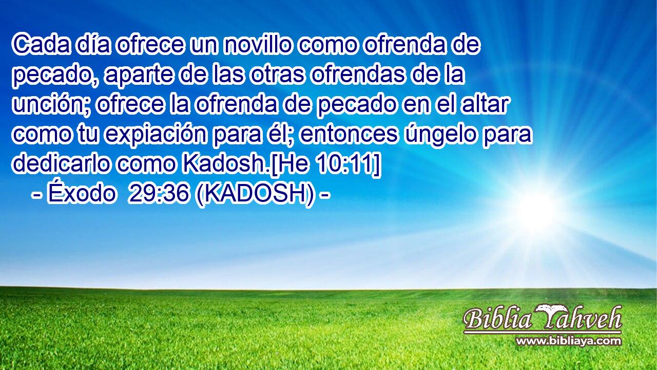  Cada día ofrece un novillo como ofrenda de pecado, aparte de las otras ofrendas de la unción; ofrece la ofrenda de pecado en el altar como tu expiación para él; entonces úngelo para dedicarlo como Kadosh.[He 10:11] 