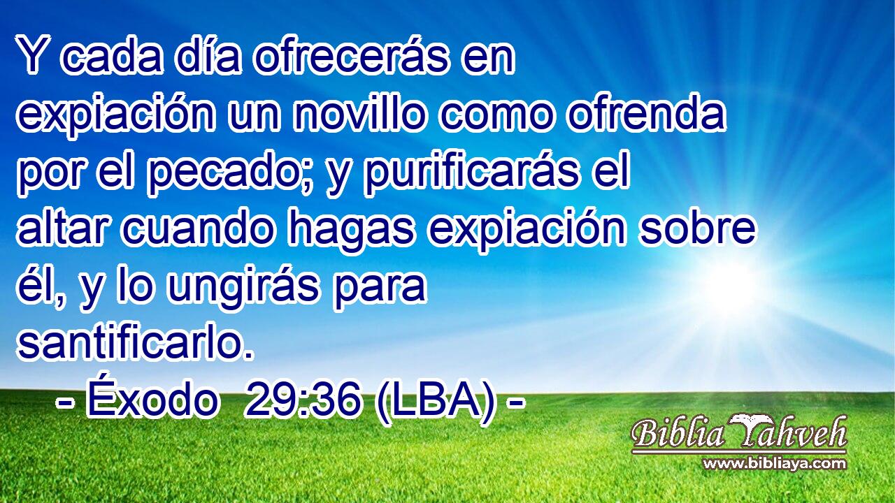 Y cada día ofrecerás en expiación un novillo como ofrenda por el pecado; y purificarás el altar cuando hagas expiación sobre él, y lo ungirás para santificarlo.