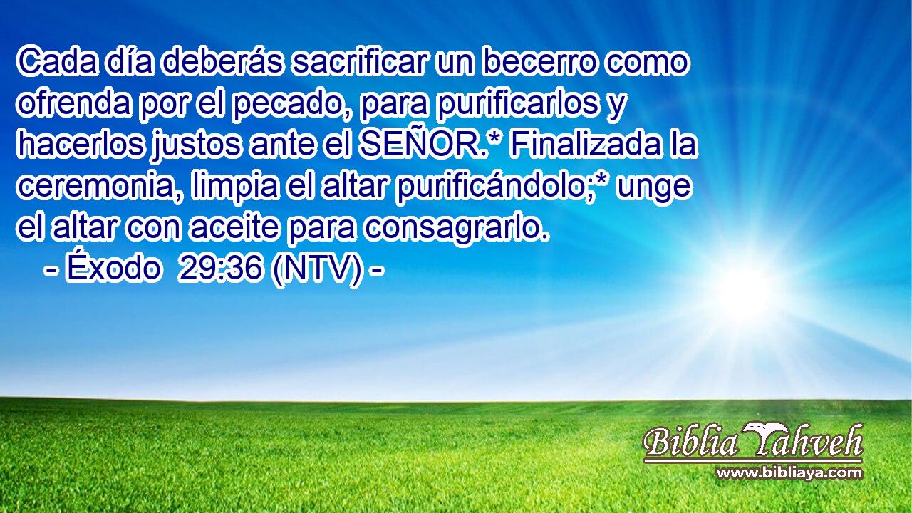 Cada día deberás sacrificar un becerro como ofrenda por el pecado, para purificarlos y hacerlos justos ante el SEÑOR.* Finalizada la ceremonia, limpia el altar purificándolo;* unge el altar con aceite para consagrarlo.