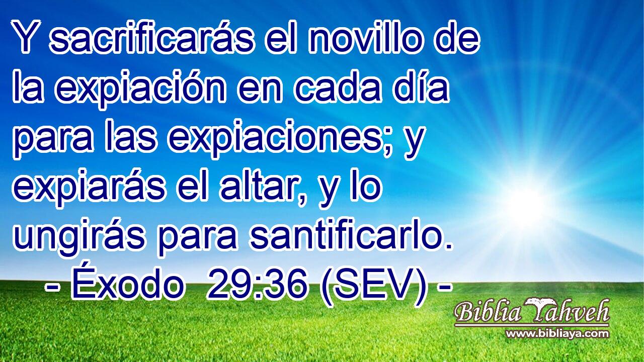 Y sacrificarás el novillo de la expiación en cada día para las expiaciones; y expiarás el altar, y lo ungirás para santificarlo.