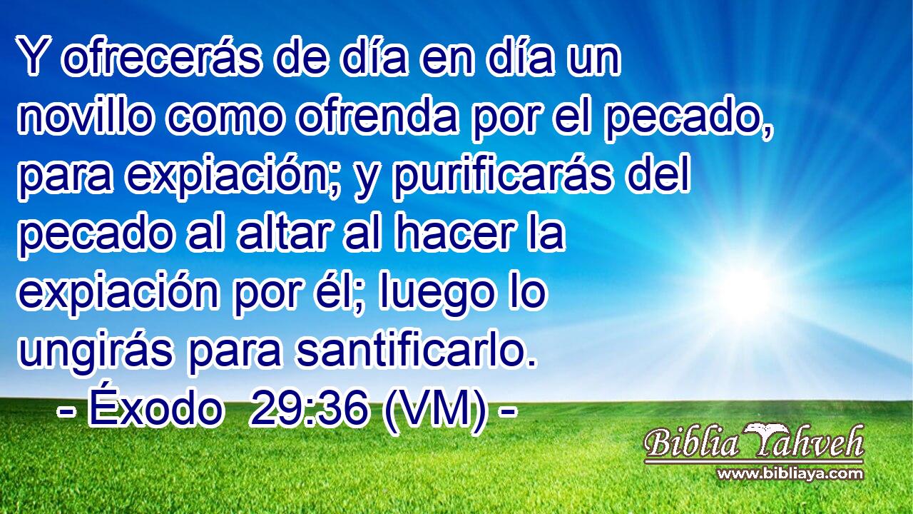  Y ofrecerás de día en día un novillo como ofrenda por el pecado, para expiación; y purificarás del pecado al altar al hacer la expiación por él; luego lo ungirás para santificarlo. 