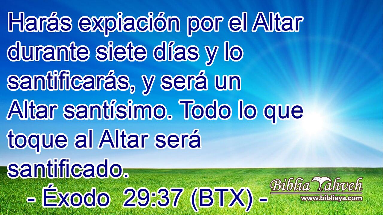 Harás expiación por el Altar durante siete días y lo santificarás, y será un Altar santísimo. Todo lo que toque al Altar será santificado.