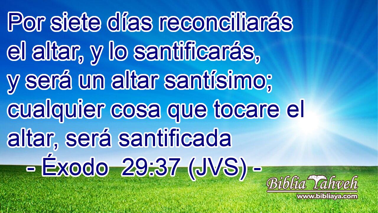 Por siete días reconciliarás el altar, y lo santificarás, y será un altar santísimo; cualquier cosa que tocare el altar, será santificada