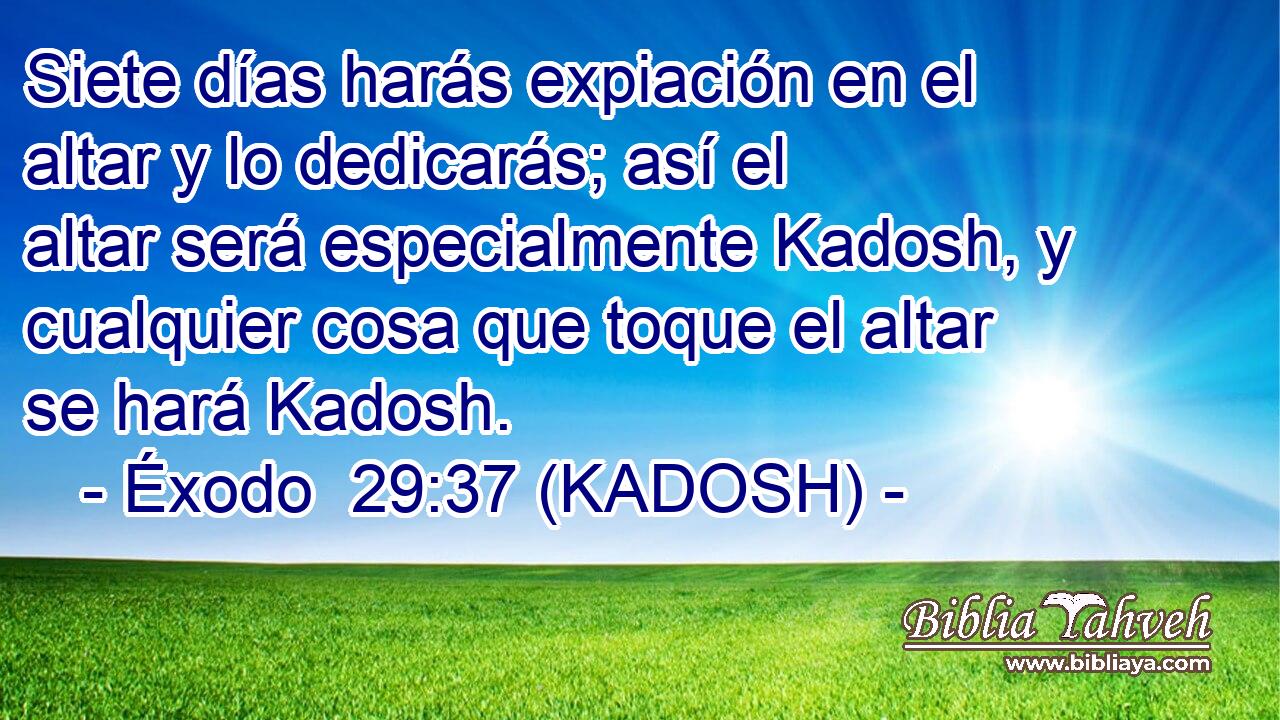  Siete días harás expiación en el altar y lo dedicarás; así el altar será especialmente Kadosh, y cualquier cosa que toque el altar se hará Kadosh. 