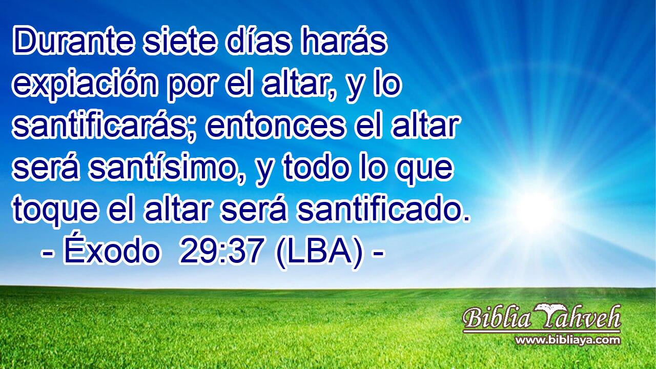 Durante siete días harás expiación por el altar, y lo santificarás; entonces el altar será santísimo, y todo lo que toque el altar será santificado.