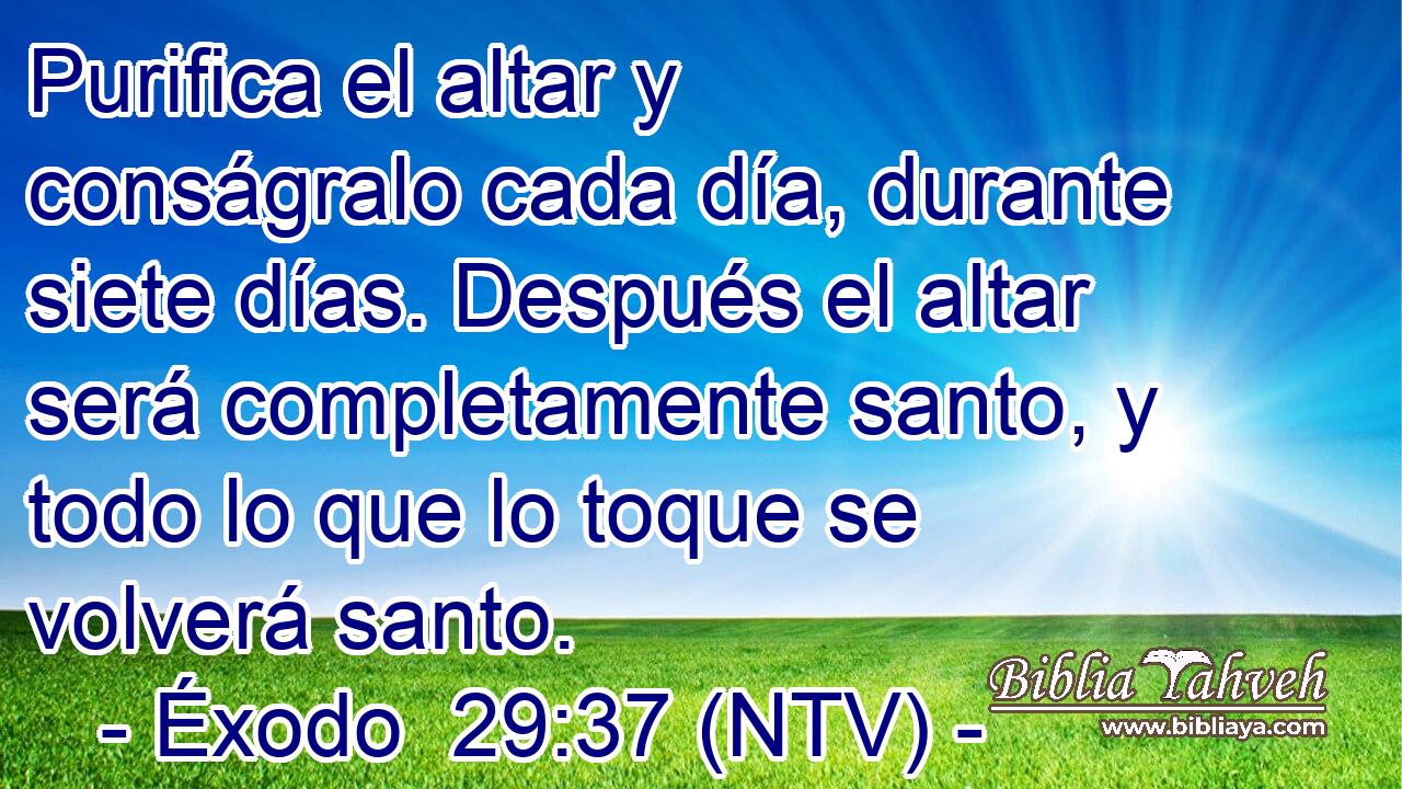 Purifica el altar y conságralo cada día, durante siete días. Después el altar será completamente santo, y todo lo que lo toque se volverá santo.