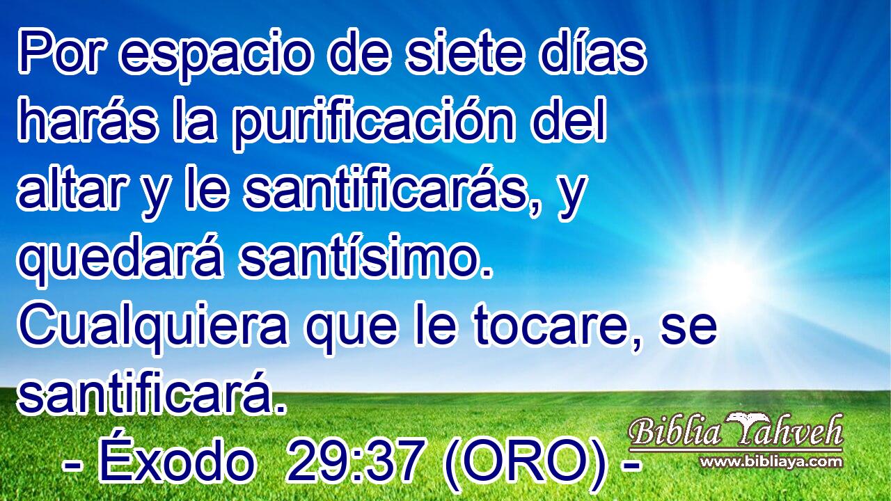  Por espacio de siete días harás la purificación del altar y le santificarás, y quedará santísimo. Cualquiera que le tocare, se santificará. 