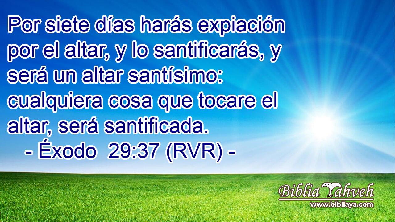 Por siete días harás expiación por el altar, y lo santificarás, y será un altar santísimo: cualquiera cosa que tocare el altar, será santificada.