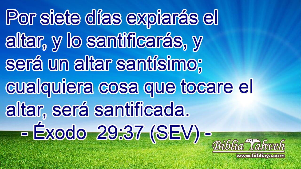Por siete días expiarás el altar, y lo santificarás, y será un altar santísimo; cualquiera cosa que tocare el altar, será santificada.