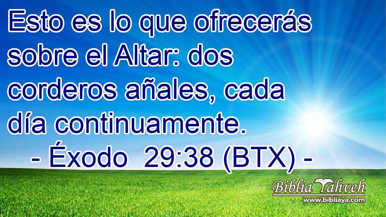Esto es lo que ofrecerás sobre el Altar: dos corderos añales, cada día continuamente.