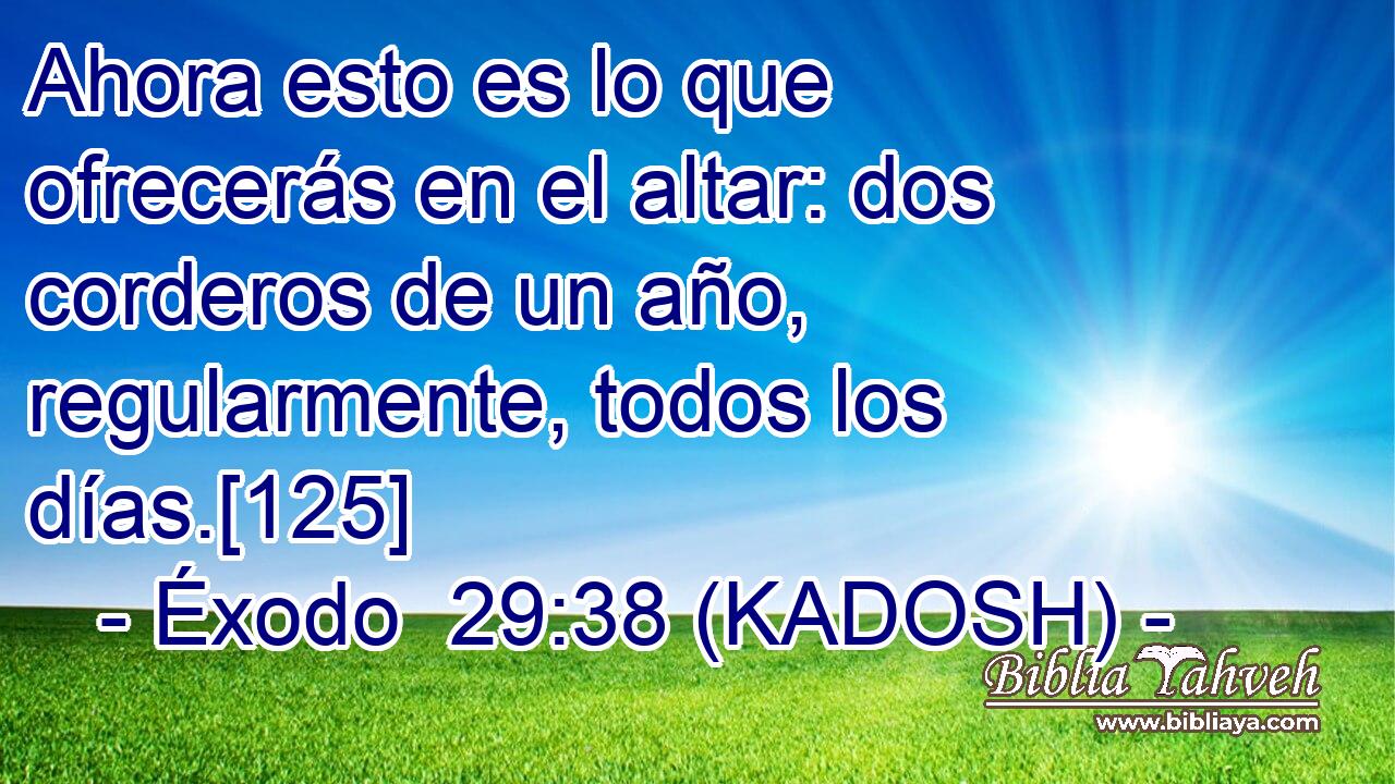  Ahora esto es lo que ofrecerás en el altar: dos corderos de un año, regularmente, todos los días.[125] 