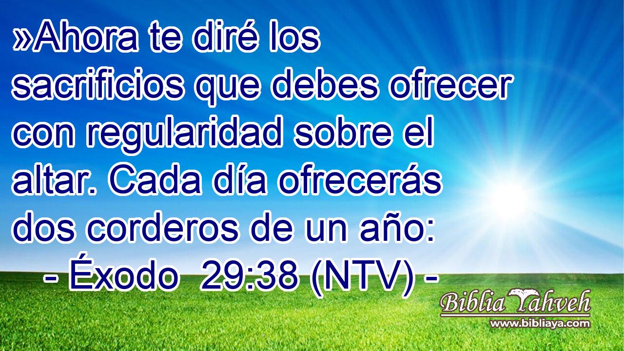 »Ahora te diré los sacrificios que debes ofrecer con regularidad sobre el altar. Cada día ofrecerás dos corderos de un año: