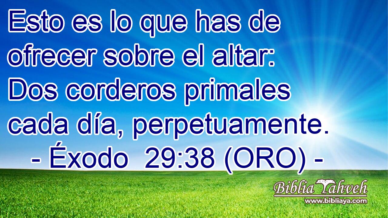  Esto es lo que has de ofrecer sobre el altar: Dos corderos primales cada día, perpetuamente. 